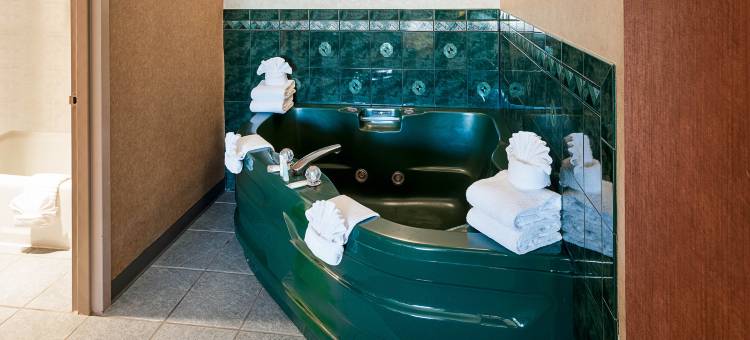 MSP机场美国购物中心舒适酒店(Comfort Inn MSP Airport - Mall of America)图片