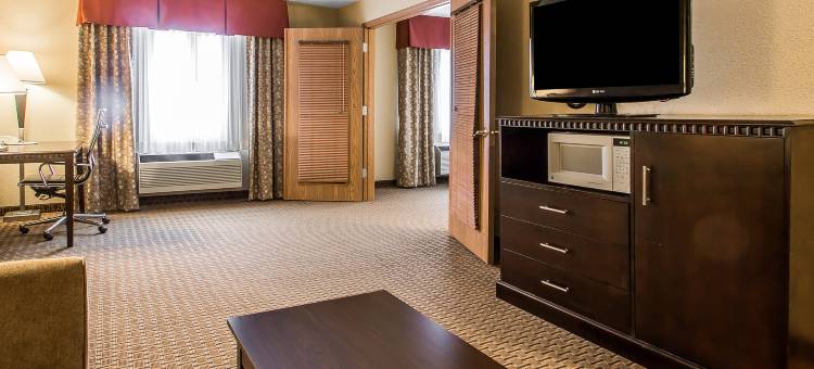 威斯康辛德尔斯区舒适套房酒店(Comfort Suites Wisconsin Dells Area)图片