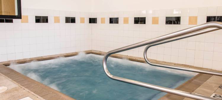 萨吉诺北舒适套房酒店(Comfort Suites- Saginaw)图片