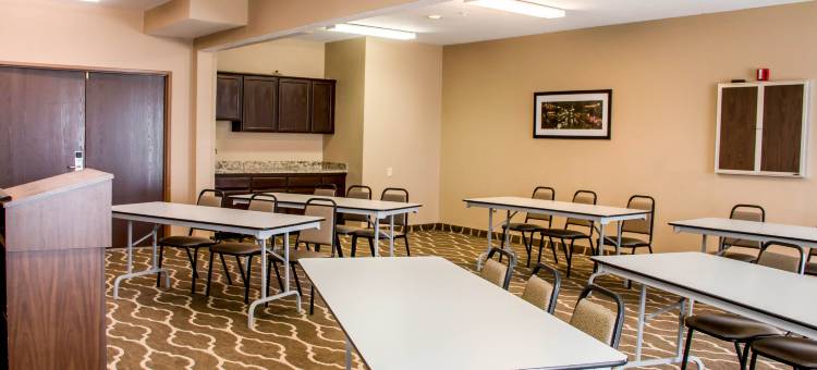 纽布朗费尔斯舒适套房酒店(Comfort Suites)图片