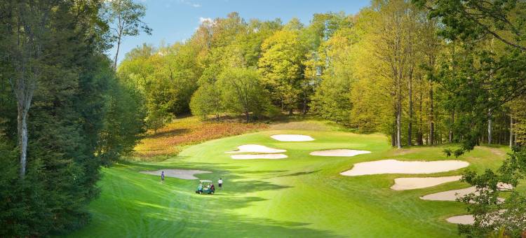 博因山度假村(Mountain Run at Boyne)图片