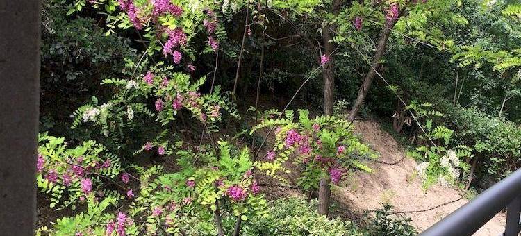 香格里拉情人节普瑞米尔经典酒店(Premiere Classe Marseille Est - la Valentine)图片