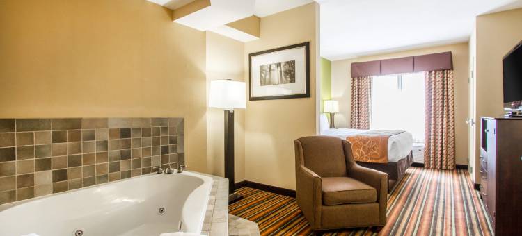 杰克逊I-40舒适套房酒店(Comfort Suites Jackson I-40)图片