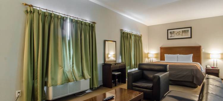 舒适酒店(Comfort Inn)图片