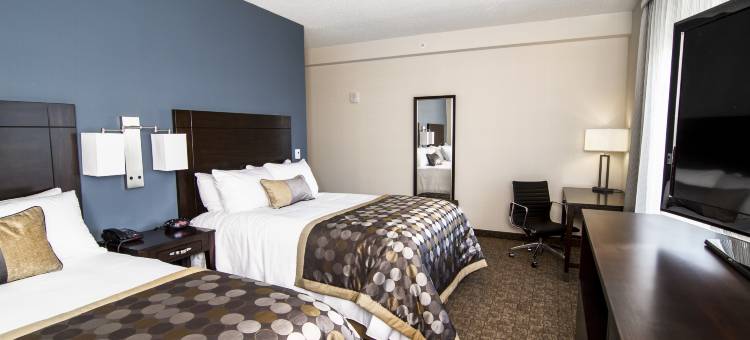 尼亚加拉瀑布/瀑布景观温德姆花园酒店(Wyndham Garden Niagara Falls Fallsview)图片