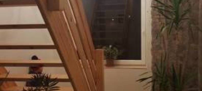 Farm Stay NH Stables图片