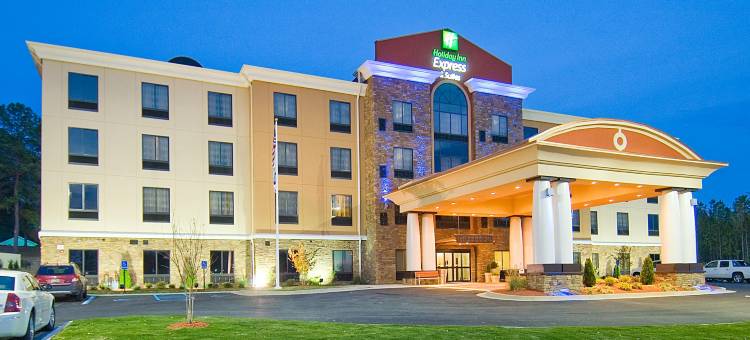 智选假日套房酒店富尔顿(Holiday Inn Express & Suites Fulton)图片