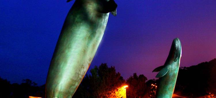 拉霍亚喜来登酒店(Sheraton La Jolla)图片