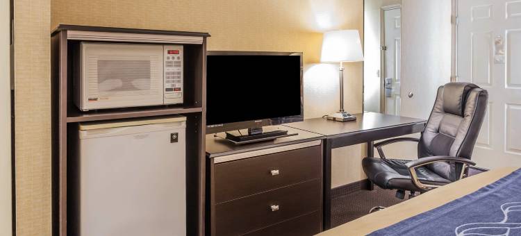 海湾舒适酒店(Comfort Inn on the Bay)图片