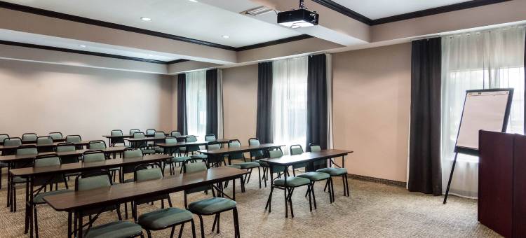 Comfort Inn & Suites FM1960-Champions图片