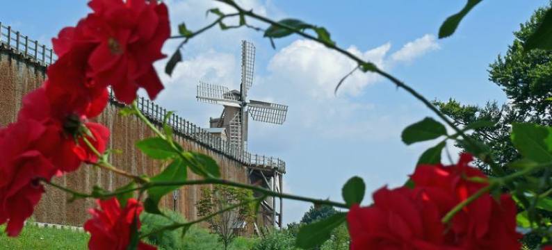 德雷尔格尼酒店(Hotel Dreyer Garni)图片