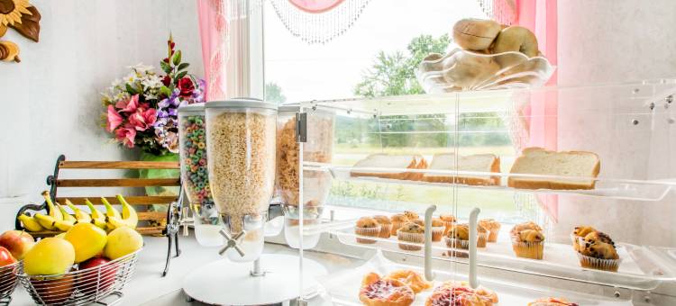 新帕尔茨哈德逊山谷罗德威套房酒店(Rodeway Inn & Suites New Paltz- Hudson Valley)图片