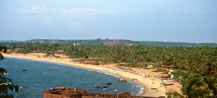 果阿诺富特水疗度假酒店(Novotel Goa Resort & Spa)图片