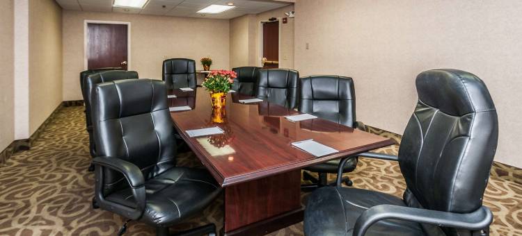 圣彼得堡西假日酒店(Holiday Inn ST. Petersburg West)图片