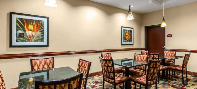 舒适套房酒店(Comfort Suites)图片