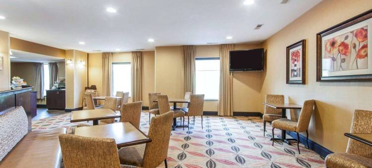 舒适套房酒店(Comfort Suites)图片