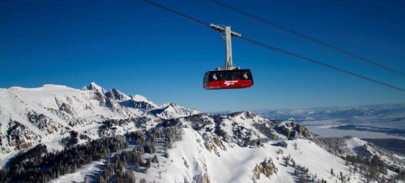 特拉杰克逊霍尔贵族山庄度假酒店(Hotel Terra Jackson Hole, a Noble House Resort)图片