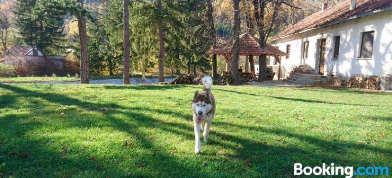 拉多戈斯旅馆(Musical Pansion Radgost, Rtanj)图片