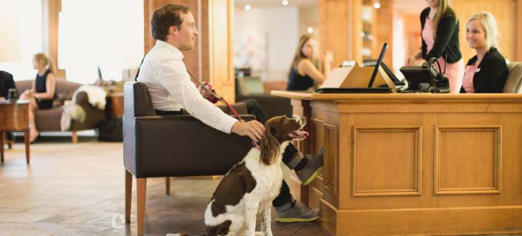 博讷恩特酒店(Hôtel le Bonne Entente)图片