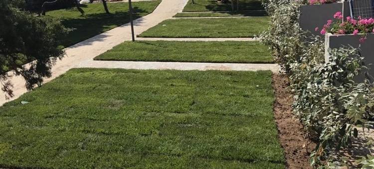 埃塞俱乐部运动酒店(Club Esse Sporting)图片