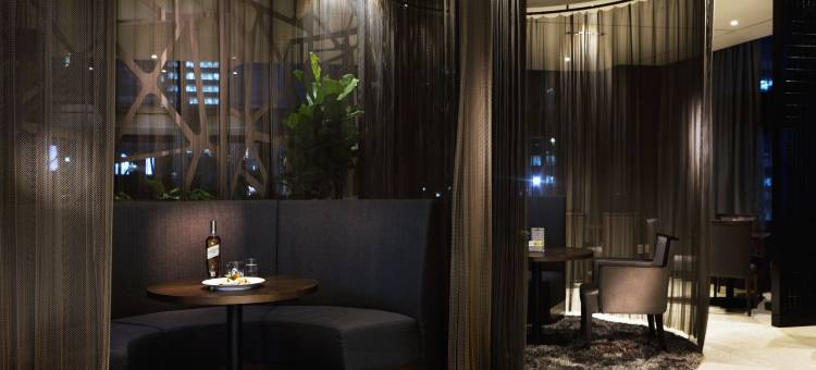 首尔江南大使宜必思尚品酒店(Ibis Styles Ambassador Seoul Gangnam)图片