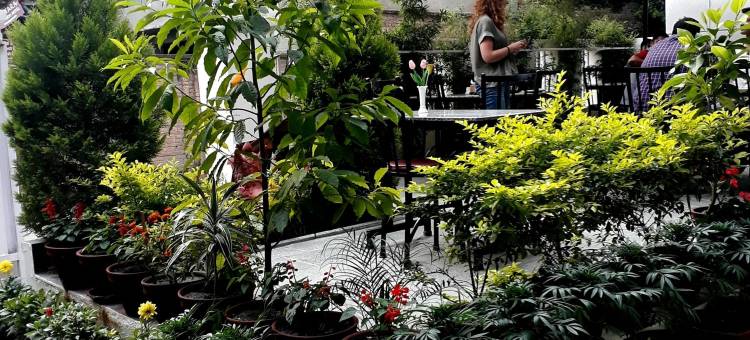 加德满都绿洲住宿加早餐旅馆(Oasis Kathmandu Hotel)图片