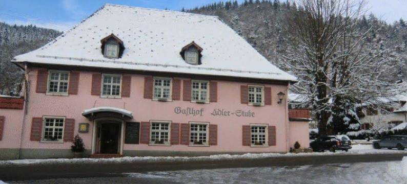 阿德勒斯图贝(Hotel Restaurant Adler Stube)图片