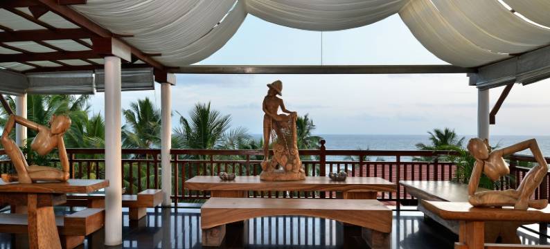 戈库兰姆海滩之龟(Gokulam Grand Turtle on the Beach)图片