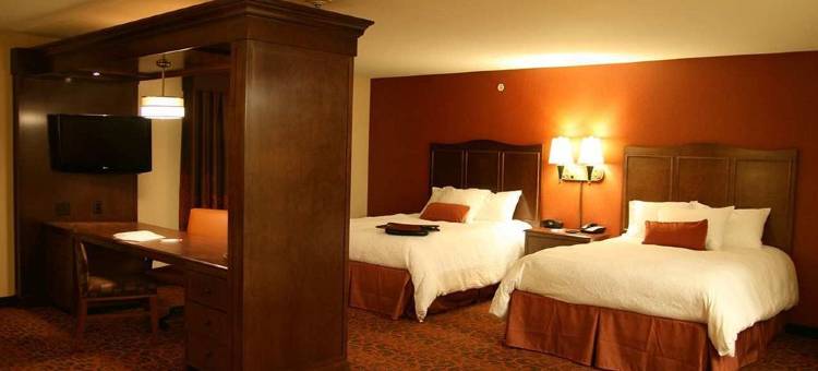 希尔顿欢朋套房酒店-纽卡斯尔(Hampton Inn & Suites New Castle)图片