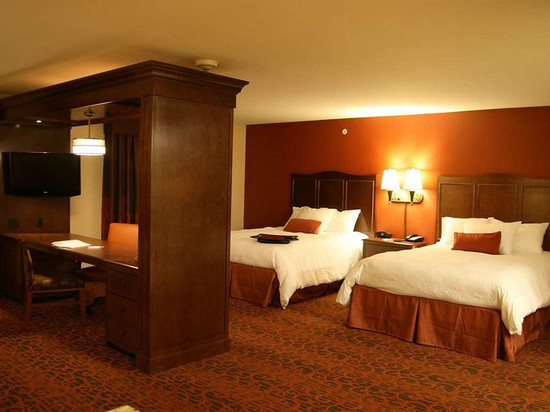 希尔顿欢朋套房酒店-纽卡斯尔