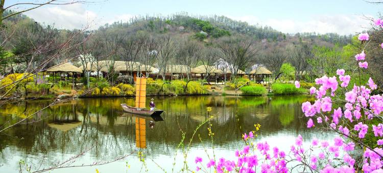 水原大使诺富特酒店(Novotel Ambassador Suwon)图片