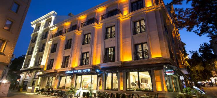 安图萨宫水疗酒店(Antusa Palace Hotel & Spa)图片