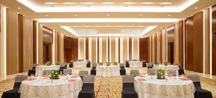 辛吉瓦蒂普那维凡塔酒店(Vivanta Pune, Hinjawadi)图片