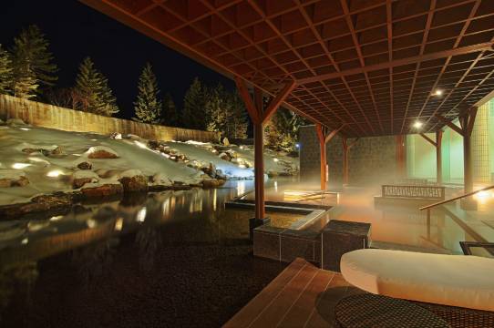 十胜川温泉Daiichi酒店豊洲亭豆阳亭(Tokachigawa Onsen Daiichi Hotel)图片