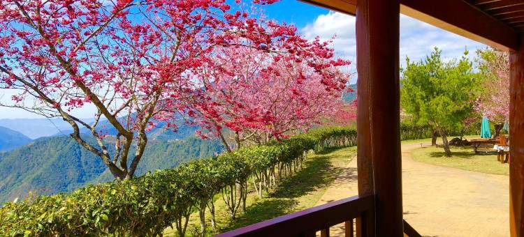 眷恋山城旅人聚所图片