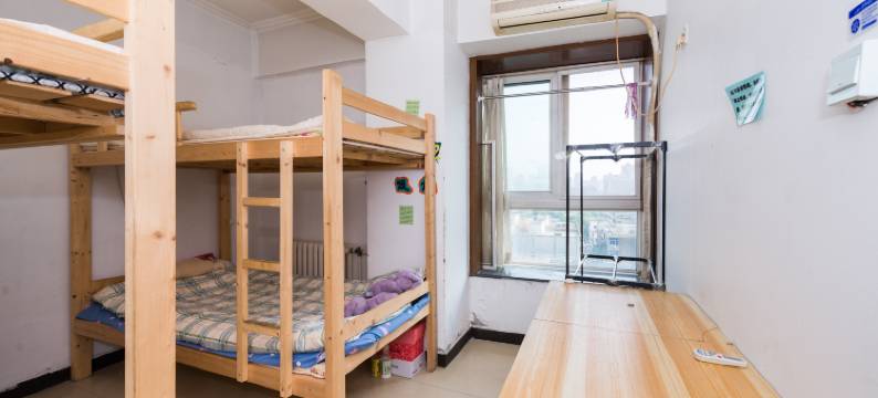 两只小猪青年旅舍图片