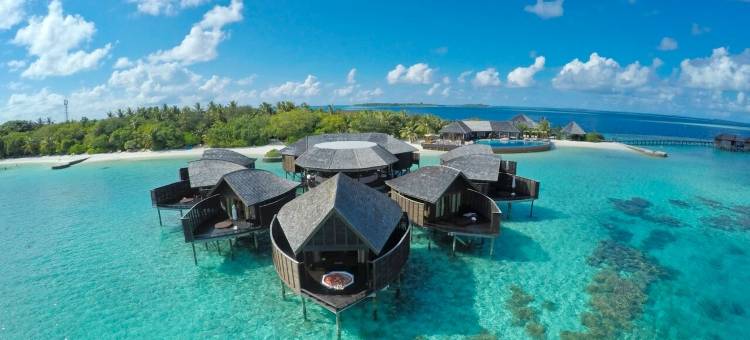 莉莉海滩水疗度假村-全包(Lily Beach Resort and Spa - All Inclusive)图片