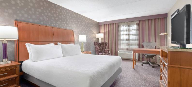 斯普林菲尔德希尔顿花园旅馆(Hilton Garden Inn Springfield, MA)图片