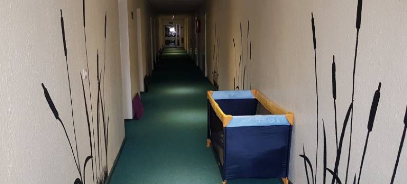 斯特奇妮湖旅馆(Pension Stechlinsee)图片