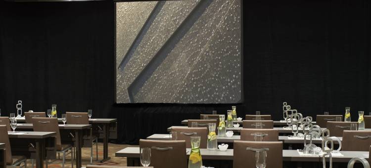 底特律诺维巴朗纳特万丽酒店(The Baronette Renaissance Detroit-Novi Hotel)图片