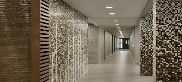 威廉斯堡布希花园地区酒店(Holiday Inn Express Williamsbrg Busch Gardens Area)图片