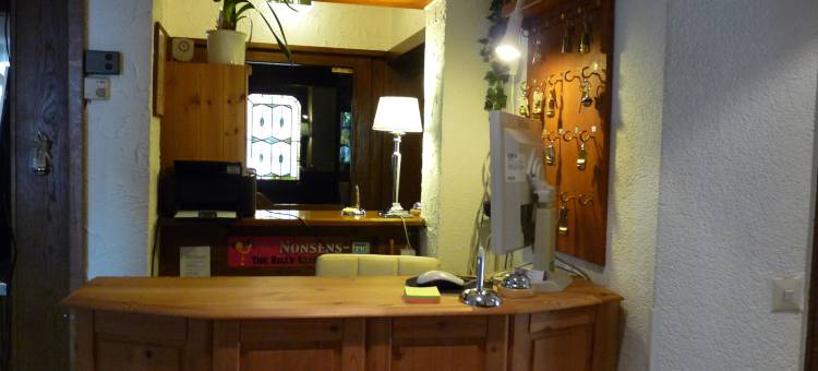 盖斯勒酒店(Hotel Geissler)图片