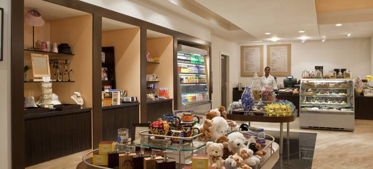 洛伊斯亚特兰大酒店(Loews Atlanta Hotel)图片