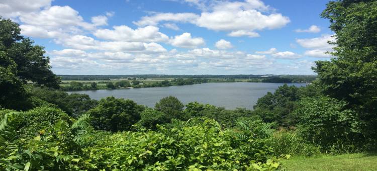 圣路易斯西港Staybridge Suites(Staybridge Suites ST Louis - Westport)图片