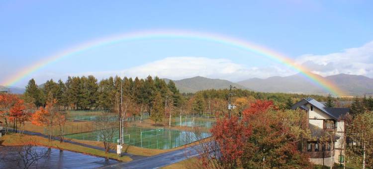 艺术色彩小屋(Appi Arts Color)图片