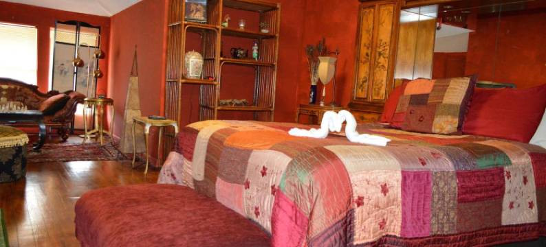 海洋厨房之家民宿(Casa Coquina Del Mar B&B)图片