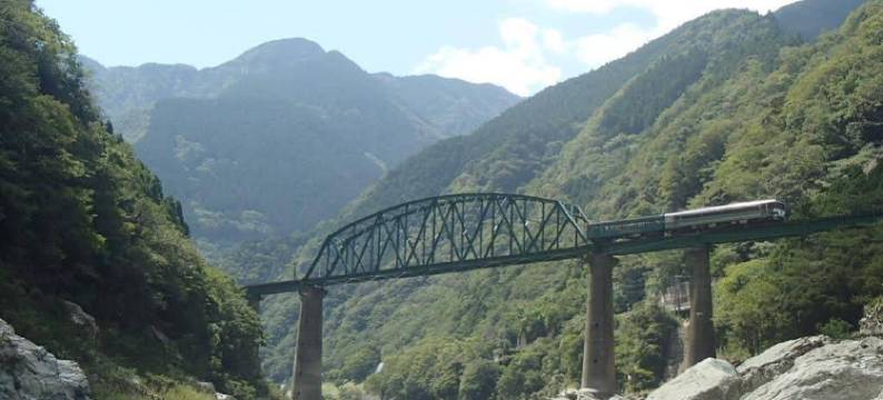 飞鼠乡村旅馆(Momonga Village)图片