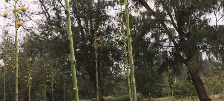 澎湖梦砌民宿图片