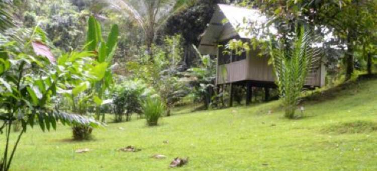 斯塔逊百罗吉卡塔曼朵阿山林小屋(Complejo Ecoturistico Tamandua)图片