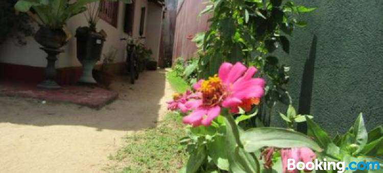 新的海狮招待所(New Sea Lion Guest House)图片